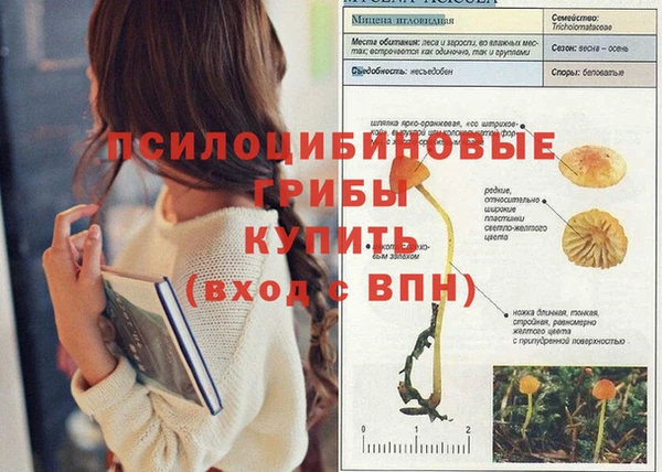 бутират Верхний Тагил